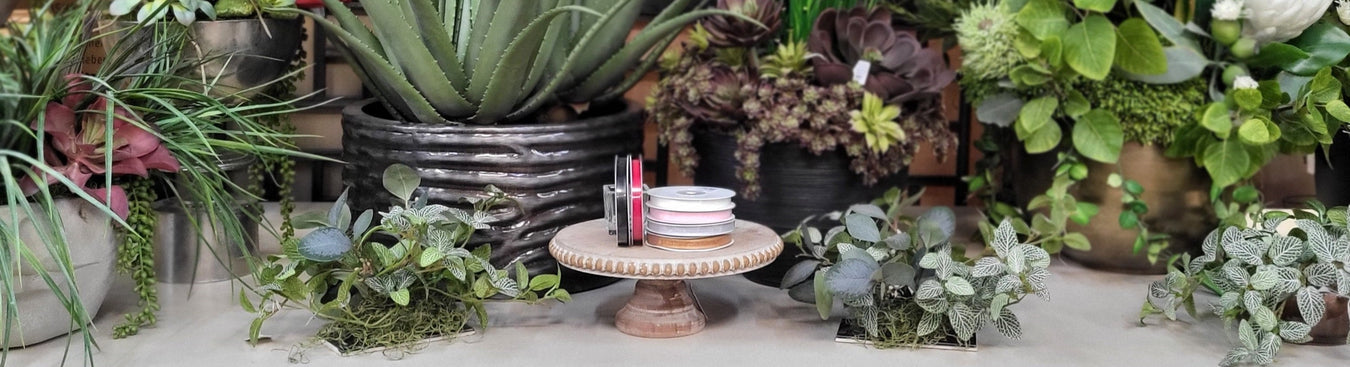 #3 Sheer Satin Edge Ribbon