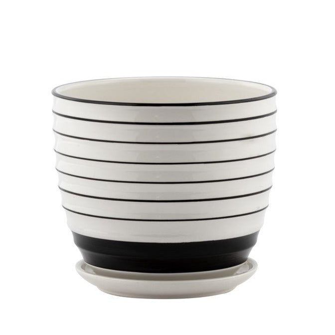 14011 (29474) - White Black Pot 6.5" Medium