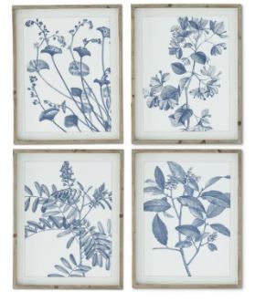 17882A (29663) - Botanical Print Bl/Wh 27"x21.5"