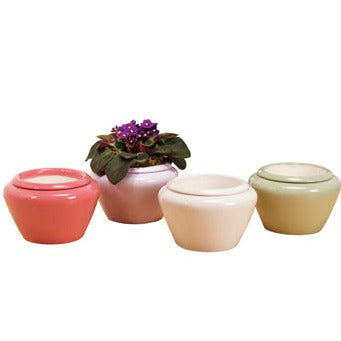 29377 (25976) - Violet Pot 4.5"