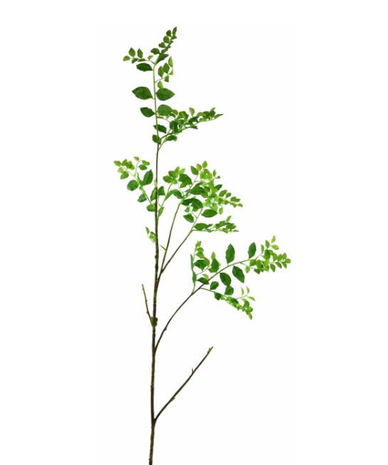 31407.GR (30505) - Wild Wisteria 55" Green