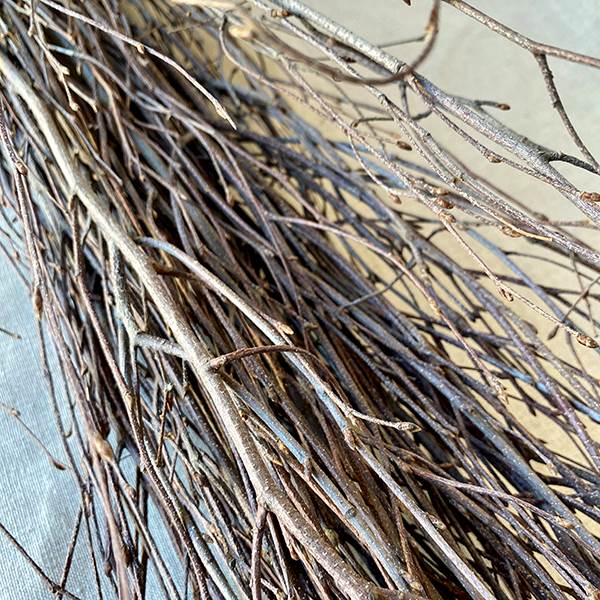 Branches & Rivercane