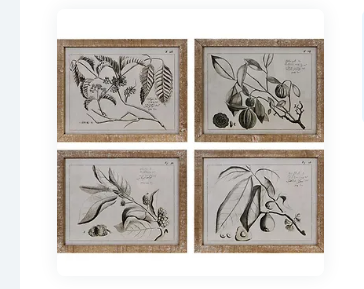 3844536 (24931) - 23.5" Botanical Framed Print