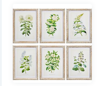 3909926 (25729) - Floral Framed Print Glass 6 Assorted