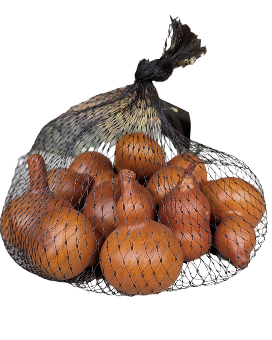 41128E-BR (25542) - Bag Of 12 Assorted Brown Gourds
