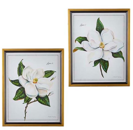 4244527 (30727) - Magnolia Framed Print 28"