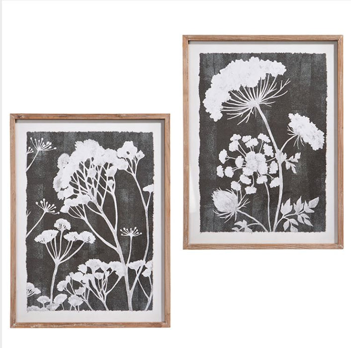 4344501 (30681) - Black/White Botanical Pr 31.5"
