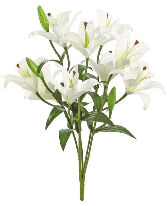 5125-C(11655) - Rubrum Lily Bush 21" Cream