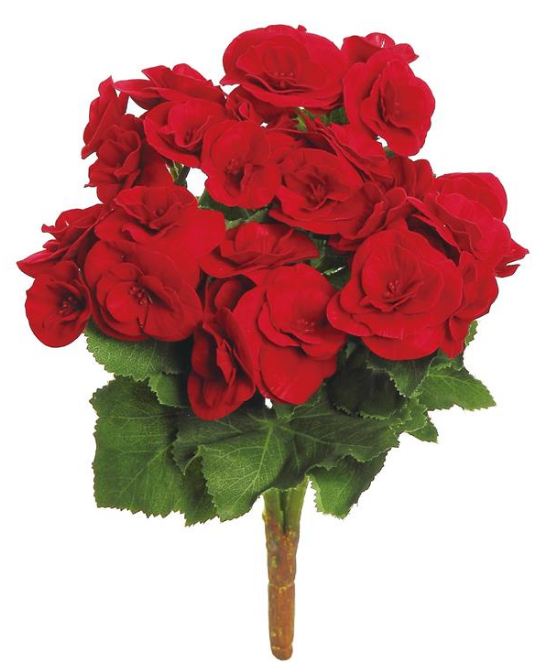 5286-R (00307) - Begonia Bush  10" Red