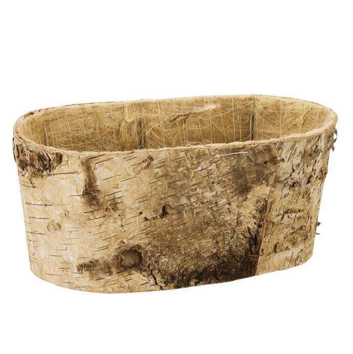 65101 (23392) - 2x4" Birch Double Bloomer, 4" x 9.5" x 5.25"