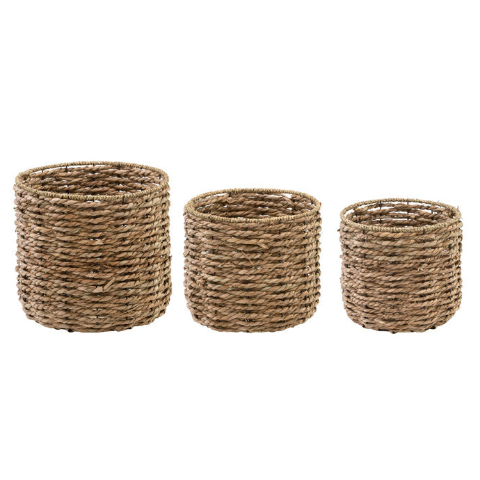 65193+++ (28519) - 11" Seagrass Tree Cover, Large