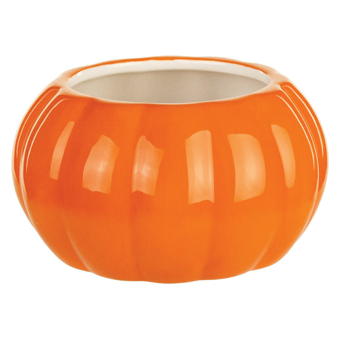 7412-06-144 (29361) - Pumpkin Container Orange 5"