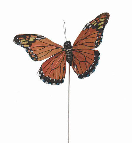 8-170MON/1 (25032) - Butterfly Pick 4.5" Monarch
