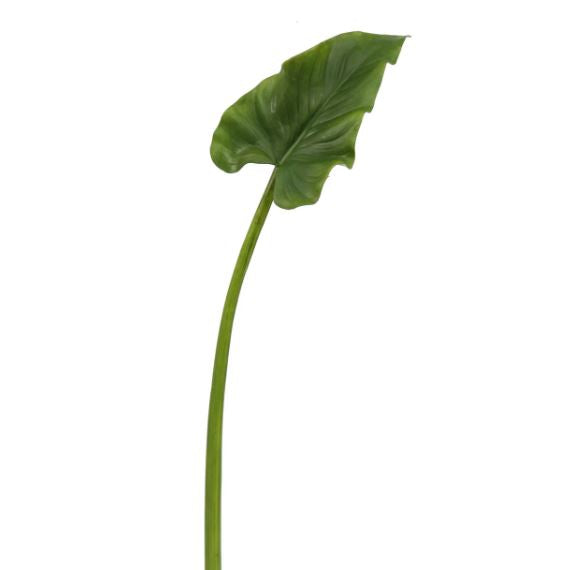 95629 (30507) - Calla Leaf 31.5" Green