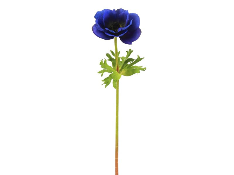 95637NT.BL (27628) - Poppy Anemone 17.5" Blue
