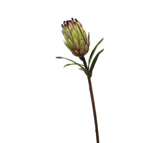 95901.GR (30501) - Mink Protea 29" Green