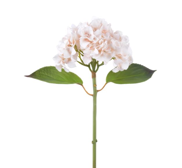 96502NT.BI (30492) - Hydrangea Stem 18" Beige