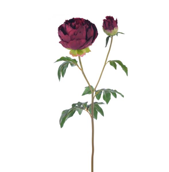 96505NT.BU (30518) - Peony 27" Burgundy