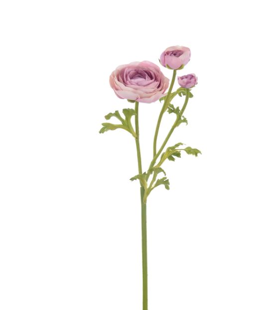96509NT.DLV (30513) - Ranunculus 22.5" Dusty Lavender