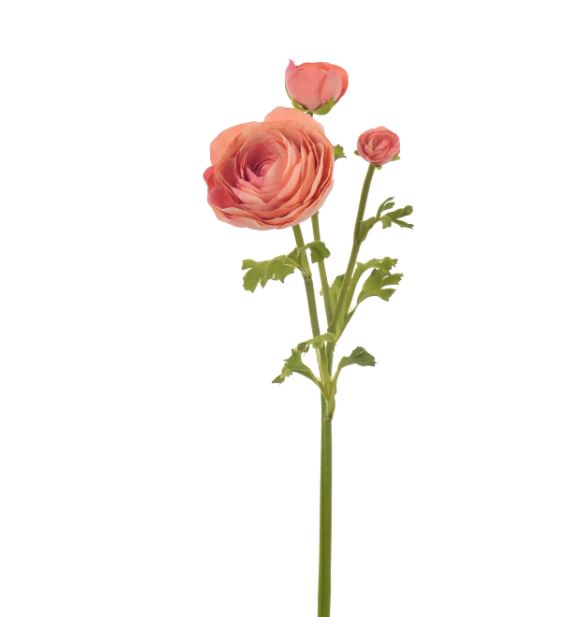 96509NT.DSM (30514) - Ranunculus 22.5"