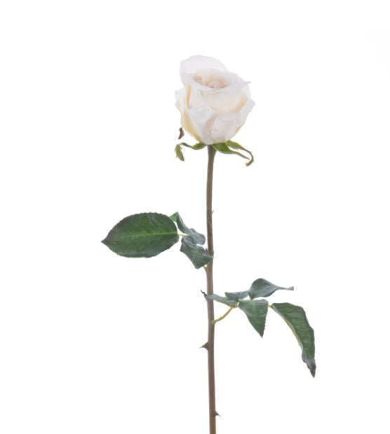 96513NT.BI (30517) - Rose Bud Pick 20.5" Beige