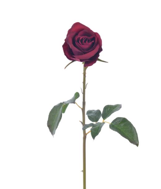 96513NT.BU (30519) - Rose Bud Pick 20.5" Burgundy