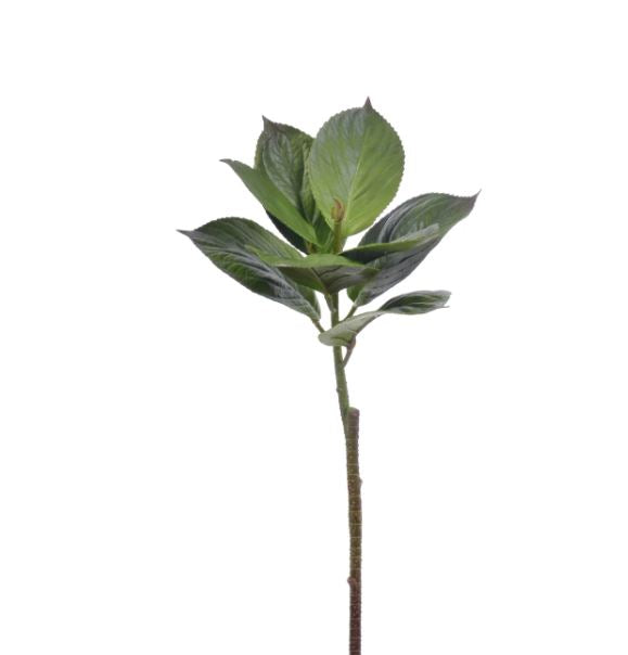 98092.GR (30508) - Hydrangea Leaf 25"