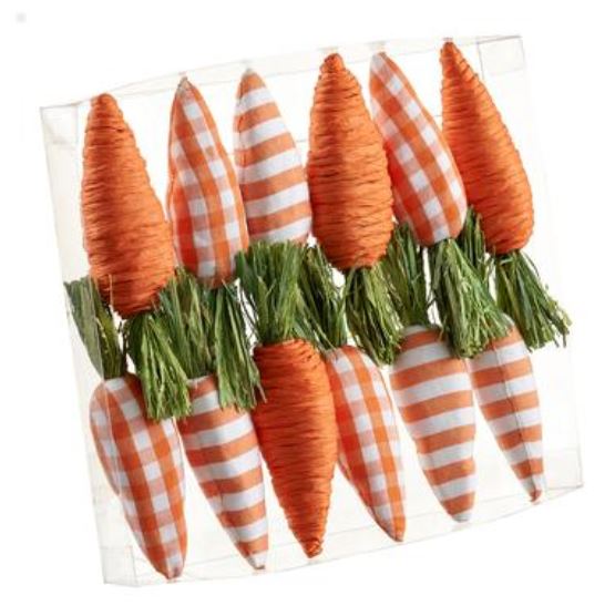 AEZ101-OR (32114) - Carrot X12 In Acetate Orange 11"