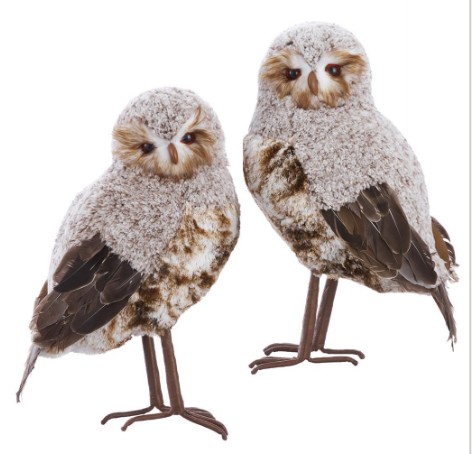 AFO104-BR/WH+ (11558) - Owl 21.5" Each Brown/White