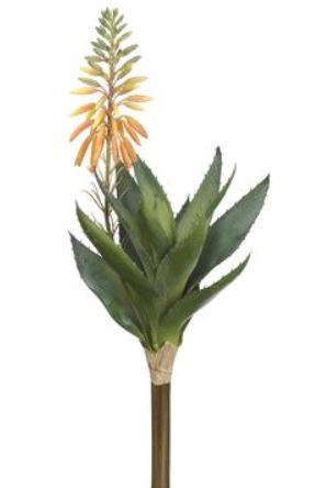 CA1316-OR/GR (30428) - Blooming Agava 15" Pick Or/Gr