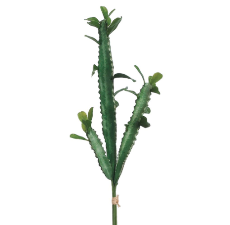 CC4032-GR (24962) - 22" Cactus X2 Green