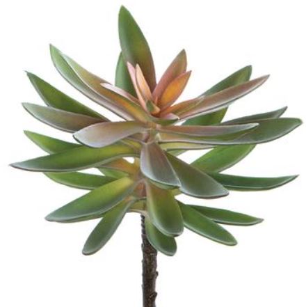 CM4046-GR (29214) - Agave Pick Gr 8.5"