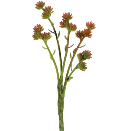 CS1326-BC/GR (11340) - Sedum Spray 11" Brick Green