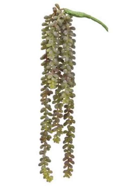 CS9525-GR (28388) - Donkey Tail Vine 19" Gr