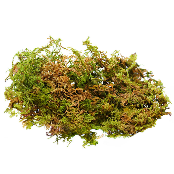 23825 (8126) - Mountain Moss Dry 10"X10"X6" Bale