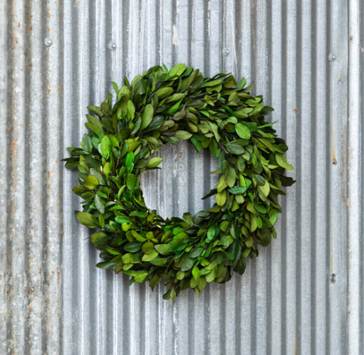 EBD90645 (28345) - Preserved Laurel Wreath 16"