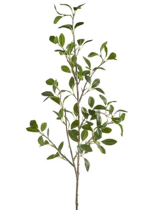 F4322664 (30669) - Green Leaf Spray 40.5"