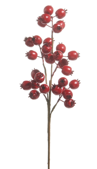 F4506755 (11516) - Matte Berry Pod Spray 21" Red