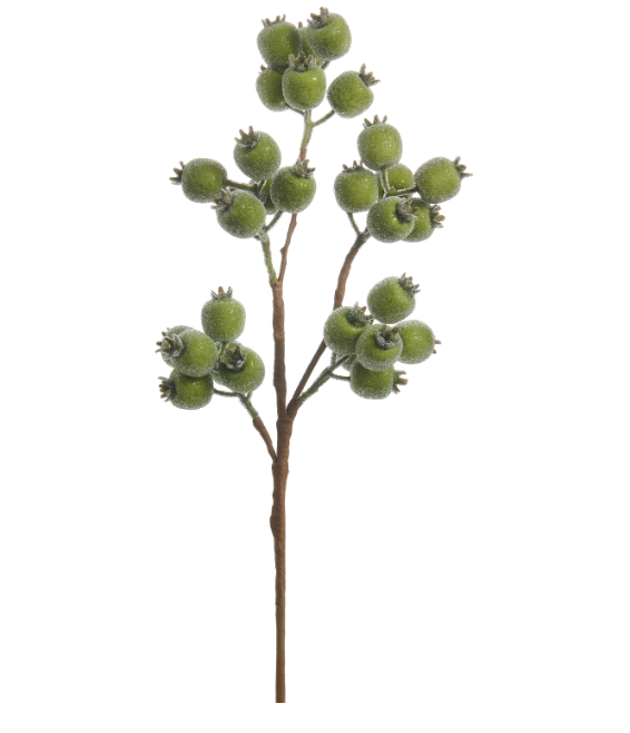 F4606720 (11519) - Iced Berry Spray 21" Green