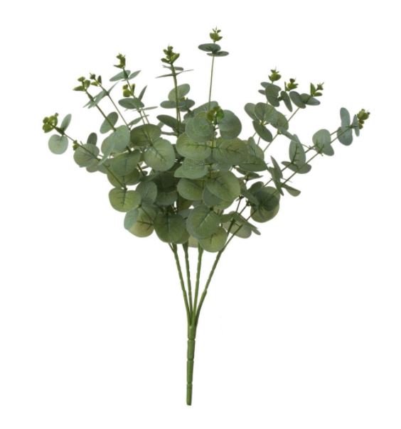 SA33184 (29069) - Eucalyptus