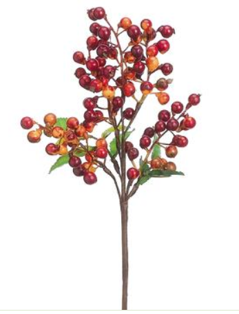 FKB051-BC/OR-1 (25225) - Berry Pick, Brick/Orange 14"