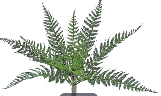 FL5235-G (27160) - Forest Fern Bush 12.5" Uv/Fr Gr