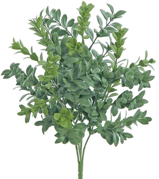 FL5249-G (27162) - Boxwood Bush 11.75" Uv/Fr Gr