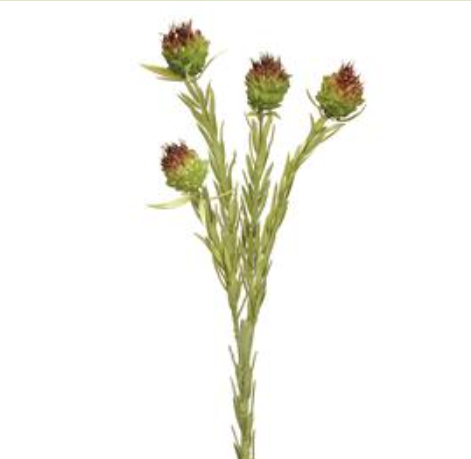 FSA002-GR/BR (00429) - Mini Allium Spray x 4, 22" Green Brown