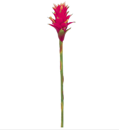 FSB610-BT/YE (11411) - Costa Rican Bromeliad 31" Beauty Yellow