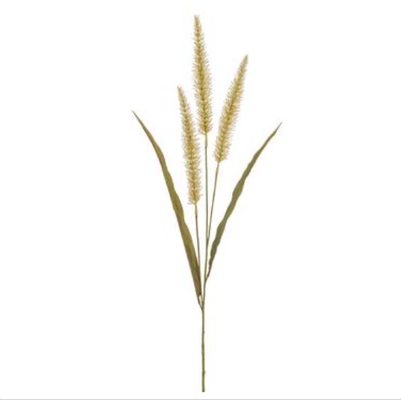 FSF467-BE (28442) - Foxtail Grass Spray Be 36"