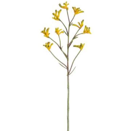 FSK082-YE (29192) - Kangaroo Paw Spray Yellow 28"