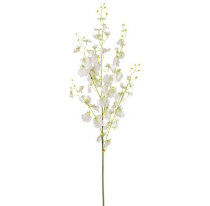 FSO036-CR (29229) - Oncidium Orchid Spray Cream 36"