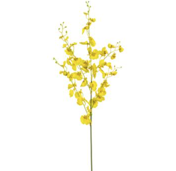 FSO036-YE (29231) - Oncidium Orchid Spray Yellow 36"