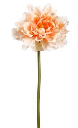 FSP501-PE (30191) - 19" Peony Spray Pe